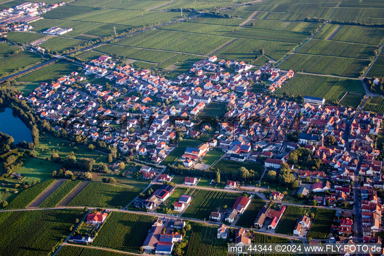 Dorf - Ansicht am Rande von landwirtschaftlichen Feldern und Nutzflächen in Kirrweiler (Pfalz) im Bundesland Rheinland-Pfalz, Deutschland von oben gesehen