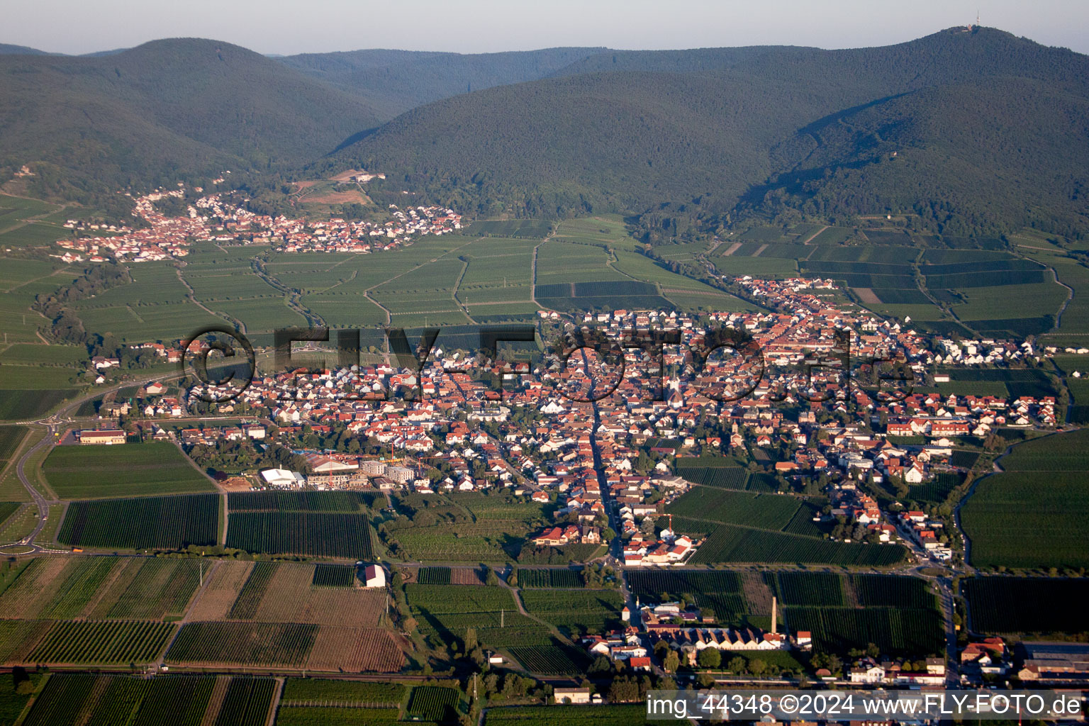 Luftbild von Dorf - Ansicht am Rande von Weinbergen in Maikammer im Bundesland Rheinland-Pfalz, Deutschland