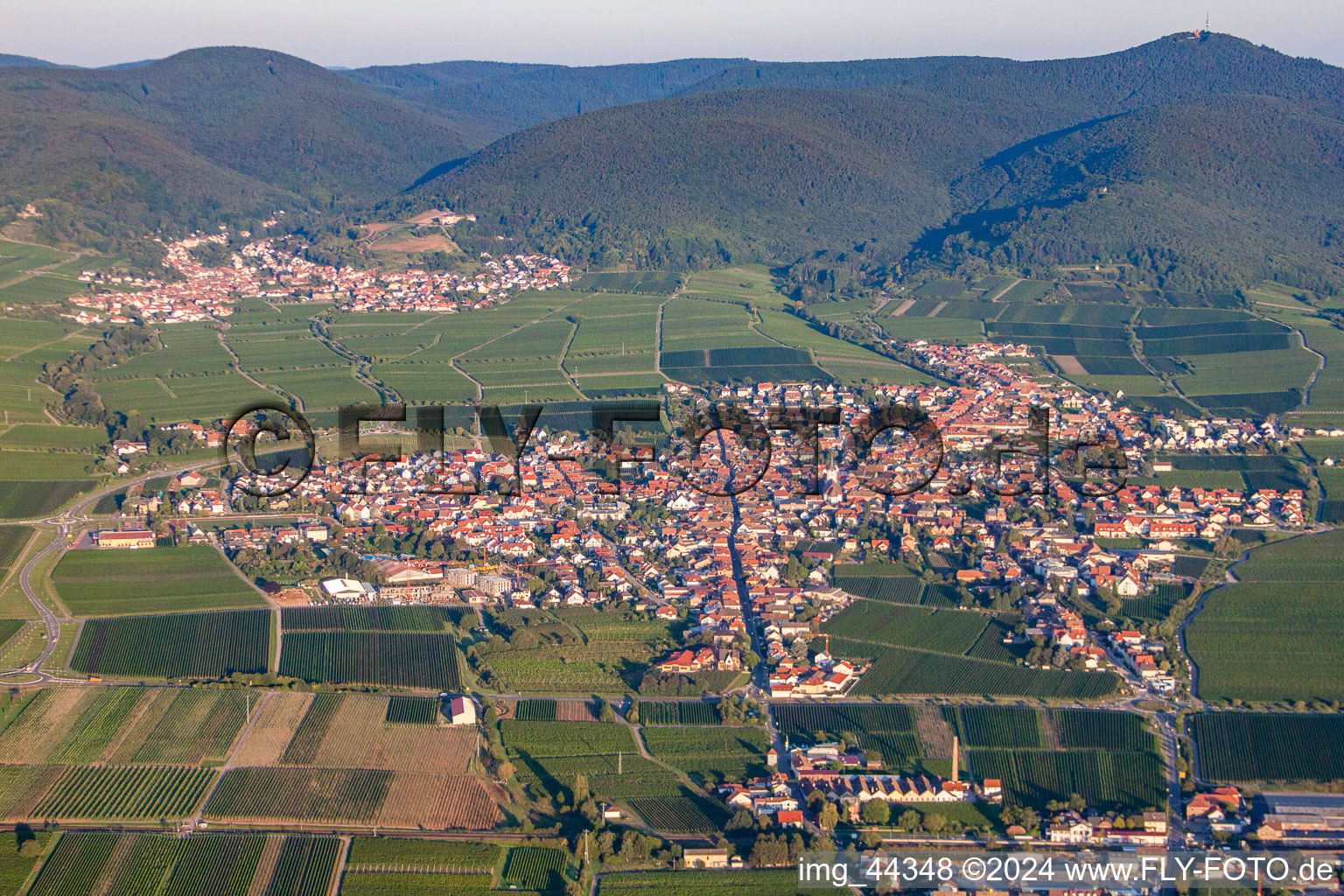 Luftbild von Dorf - Ansicht am Rande von Weinbergen in Maikammer im Bundesland Rheinland-Pfalz, Deutschland