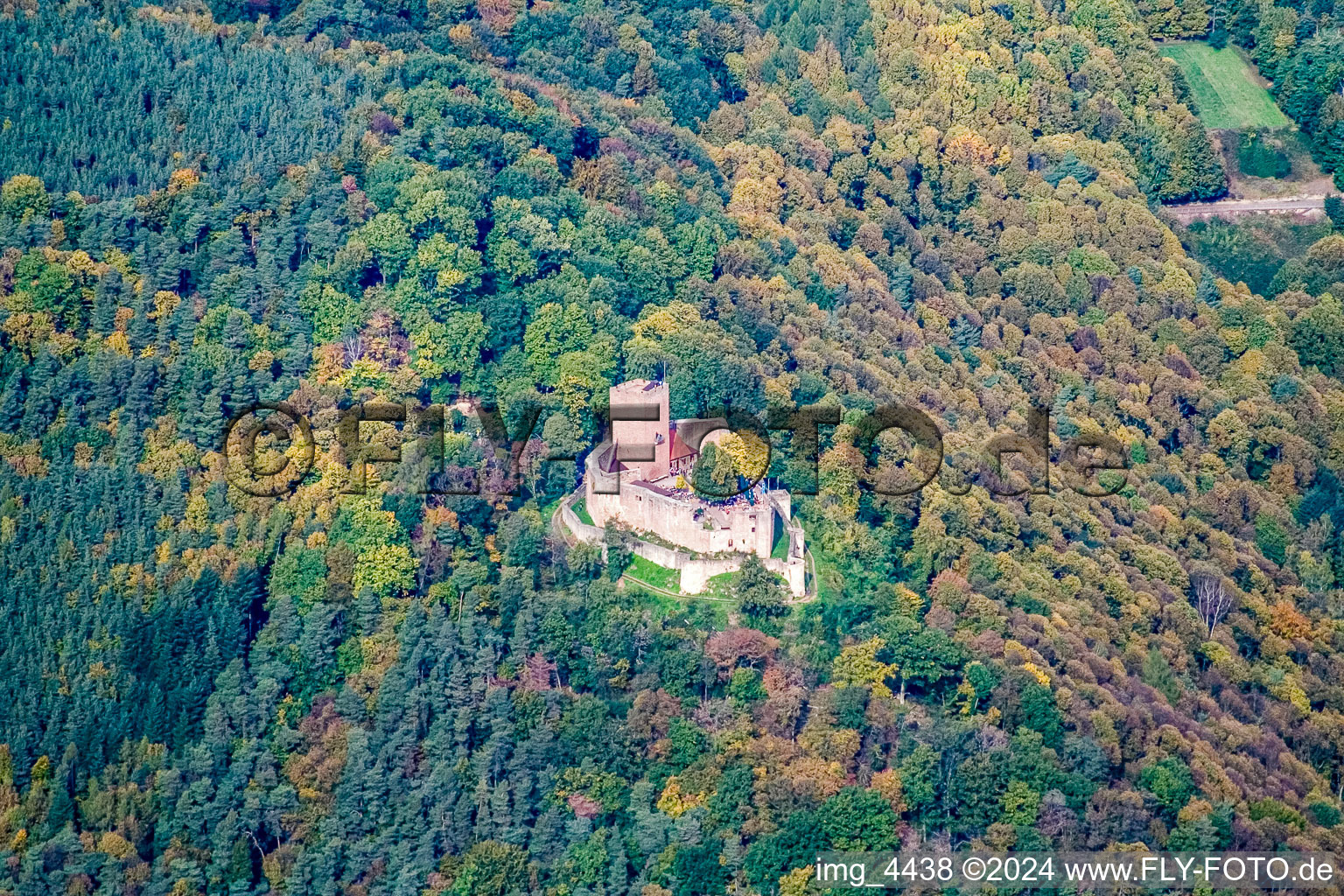 Ruine Landeck in Klingenmünster im Bundesland Rheinland-Pfalz, Deutschland von oben