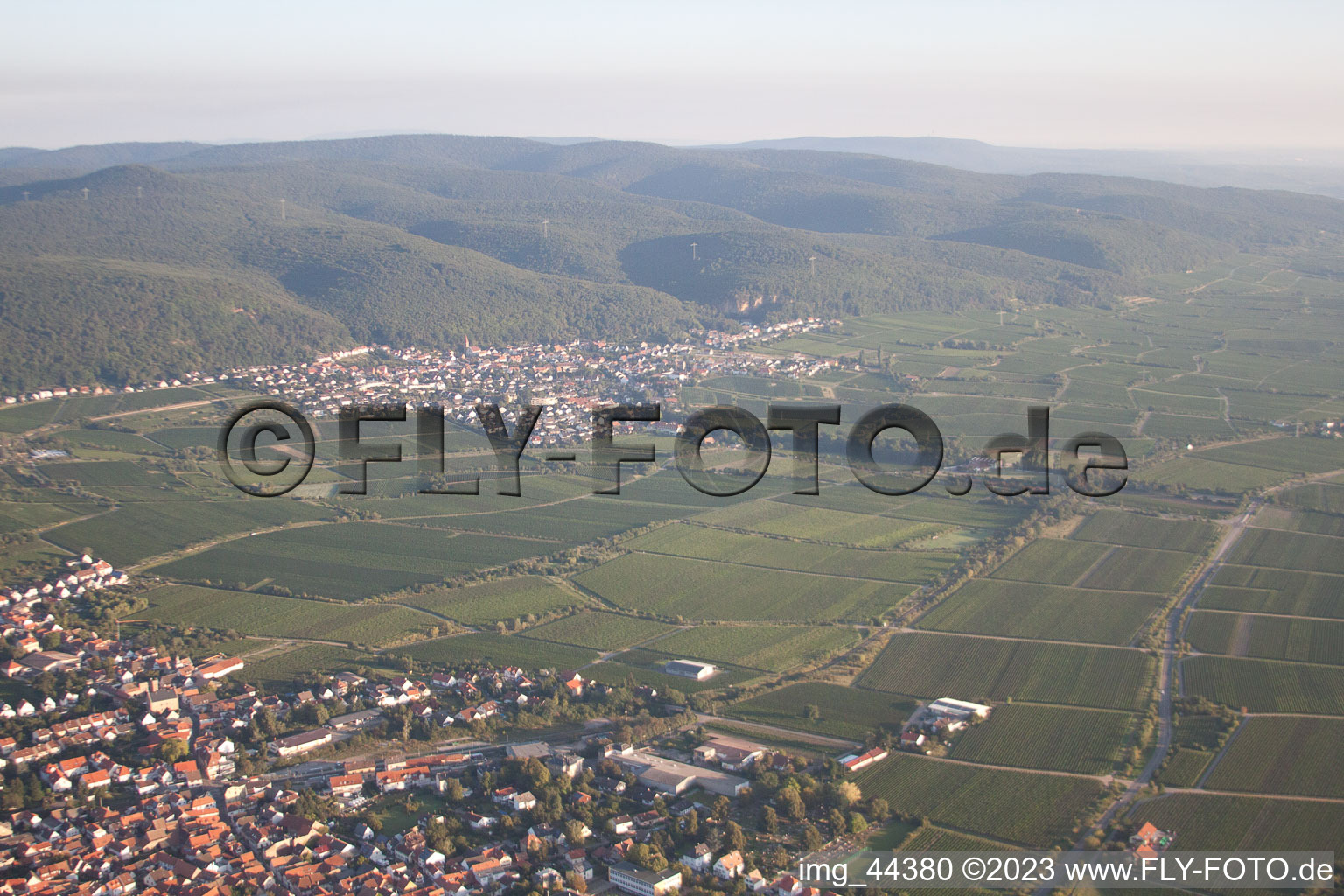 Schrägluftbild von Ortsteil Königsbach in Neustadt an der Weinstraße im Bundesland Rheinland-Pfalz, Deutschland