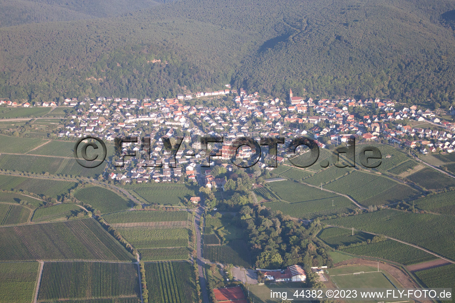 Ortsteil Königsbach in Neustadt an der Weinstraße im Bundesland Rheinland-Pfalz, Deutschland aus der Luft