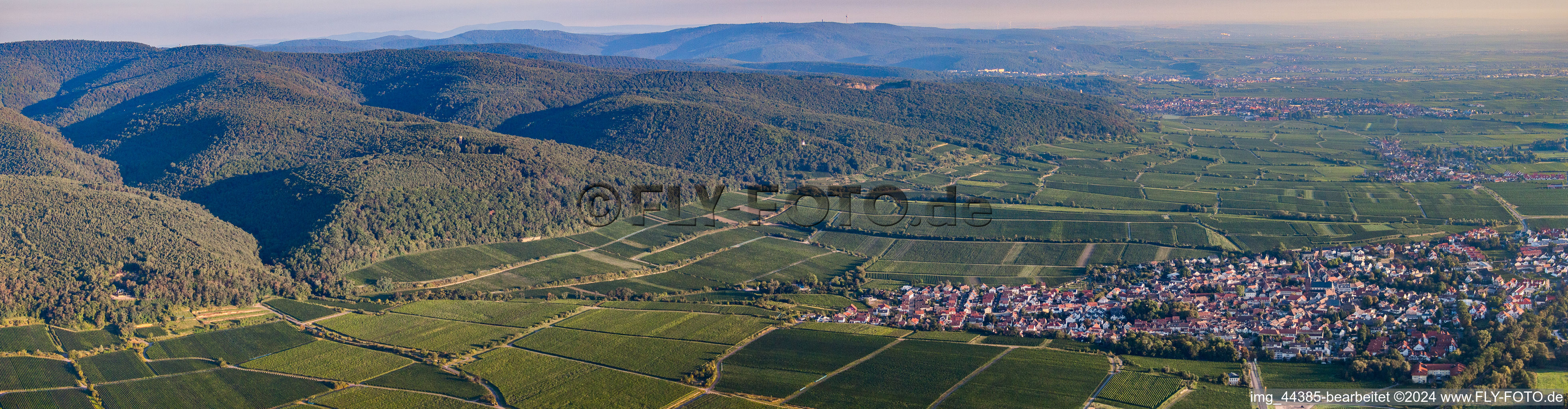 Panorama vom Ortsbereich und der Umgebung in Deidesheim im Bundesland Rheinland-Pfalz, Deutschland