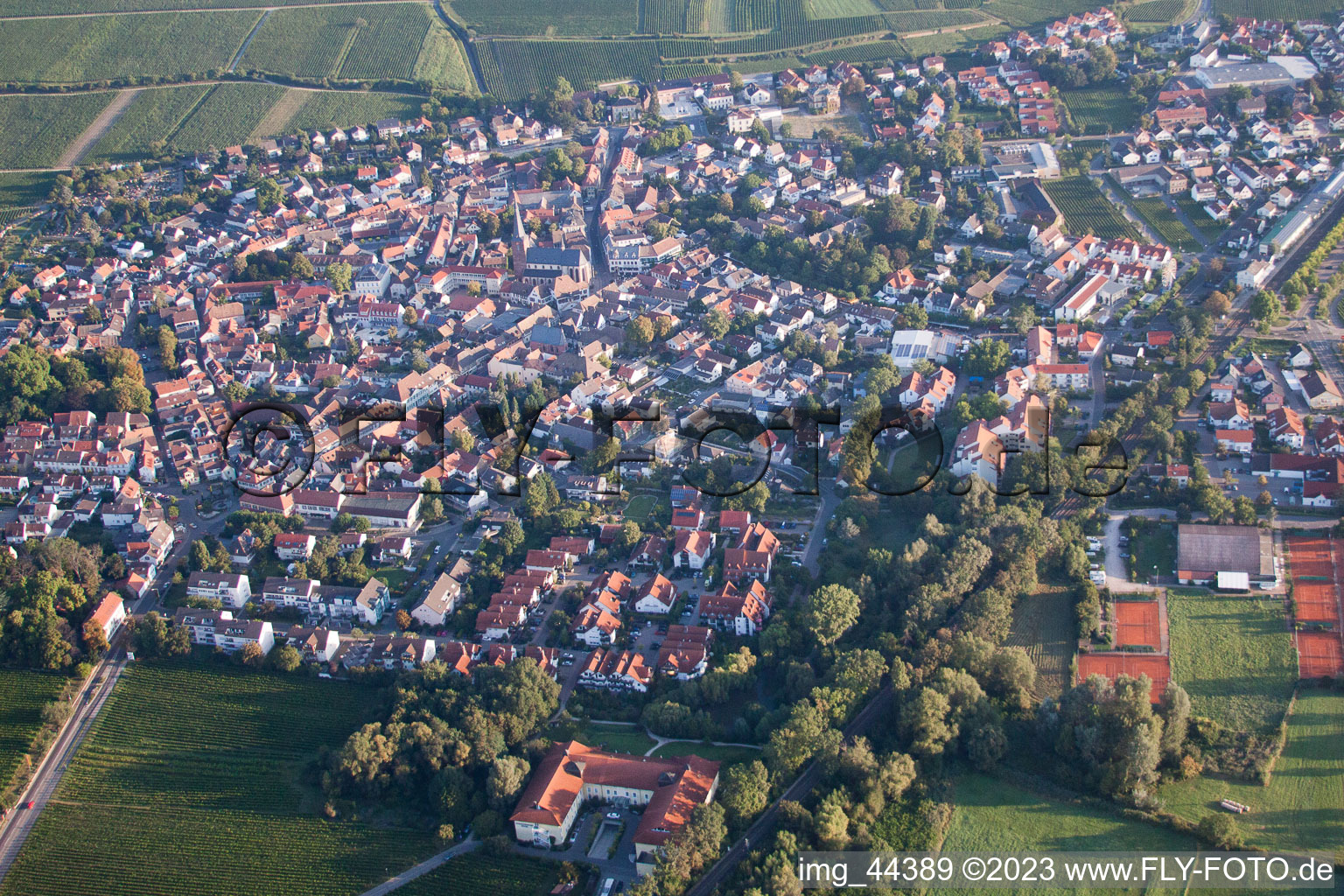 Drohnenaufname von Deidesheim im Bundesland Rheinland-Pfalz, Deutschland