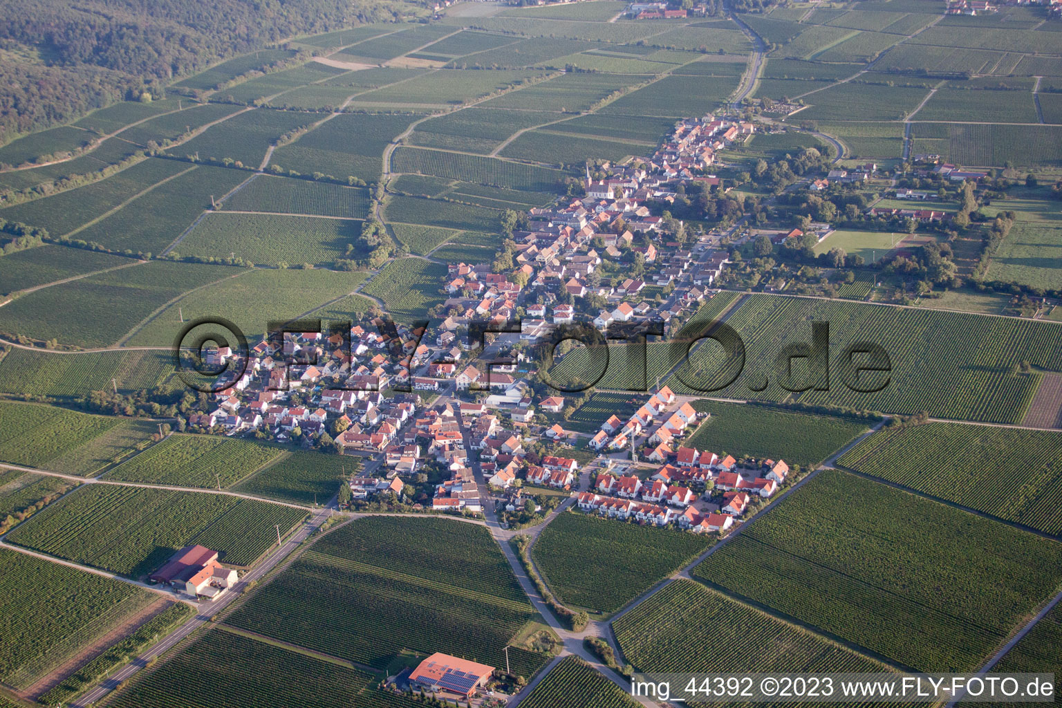 Forst an der Weinstraße im Bundesland Rheinland-Pfalz, Deutschland aus der Drohnenperspektive
