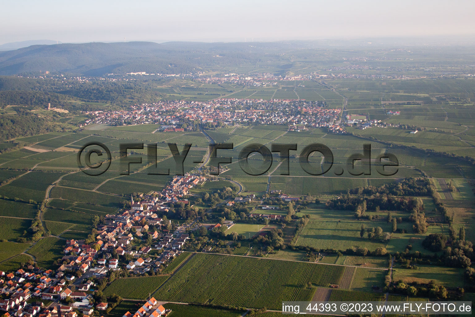 Forst an der Weinstraße im Bundesland Rheinland-Pfalz, Deutschland von einer Drohne aus