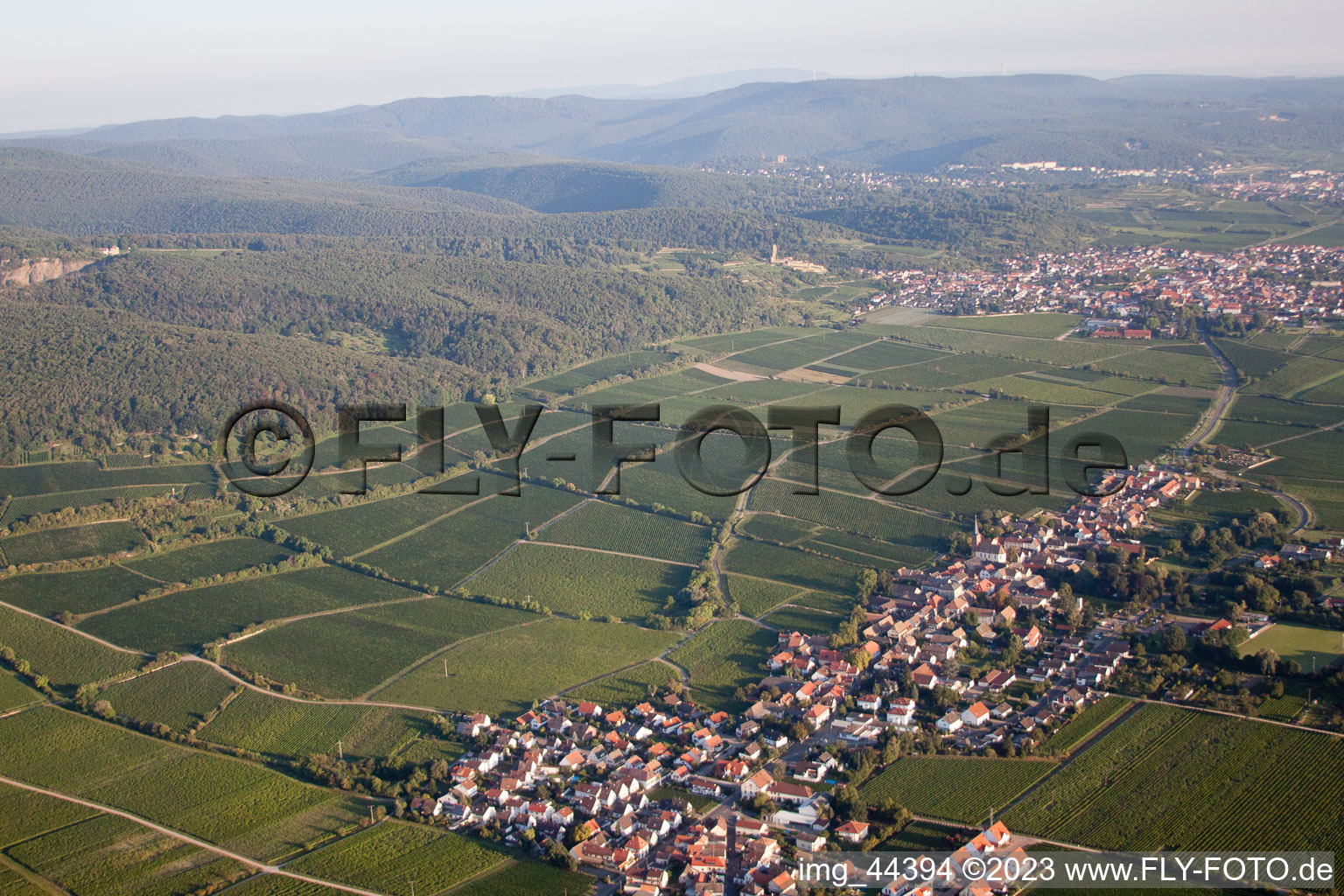 Forst an der Weinstraße im Bundesland Rheinland-Pfalz, Deutschland von der Drohne aus gesehen