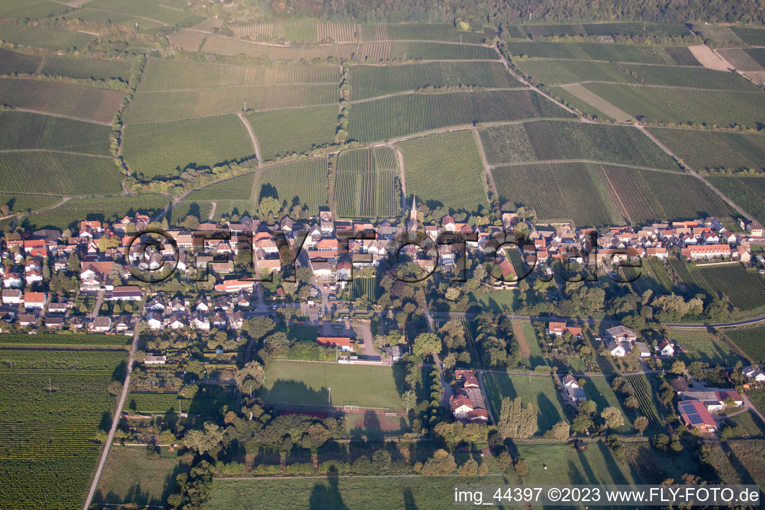 Luftbild von Forst an der Weinstraße im Bundesland Rheinland-Pfalz, Deutschland