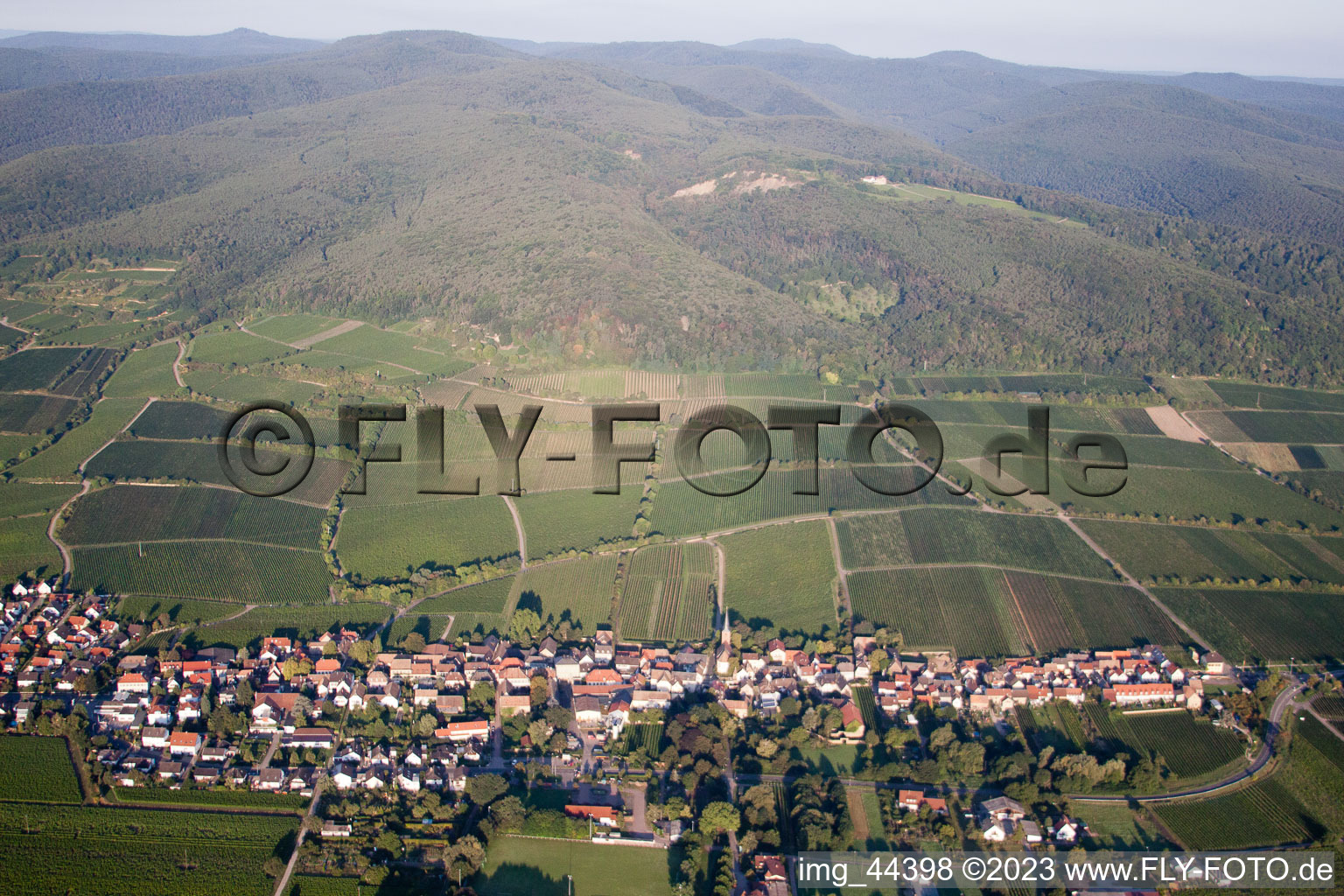 Luftaufnahme von Forst an der Weinstraße im Bundesland Rheinland-Pfalz, Deutschland