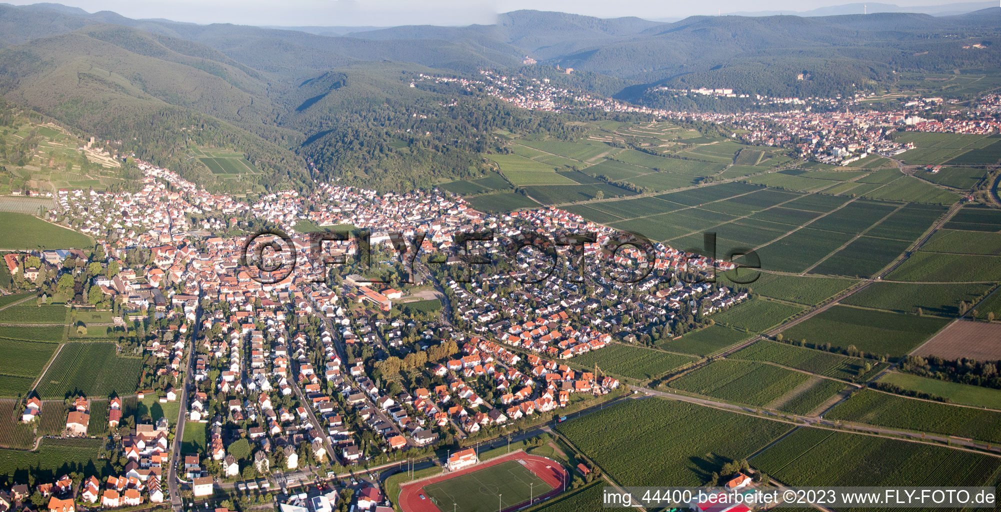 Schrägluftbild von Wachenheim in Wachenheim an der Weinstraße im Bundesland Rheinland-Pfalz, Deutschland
