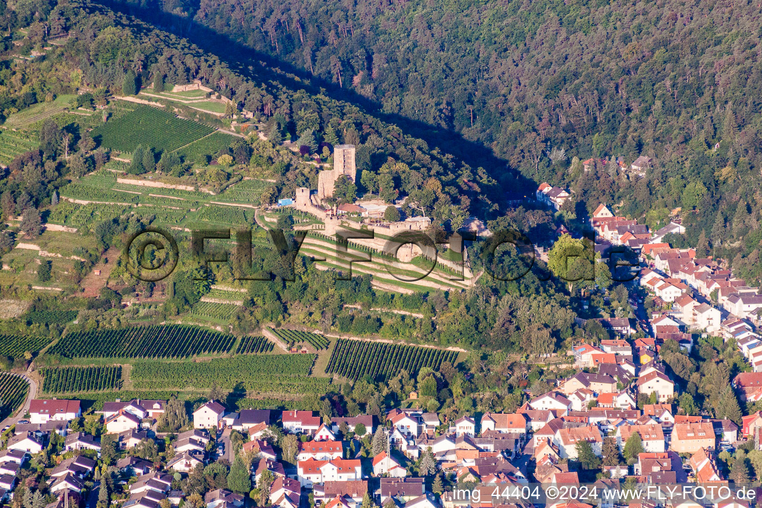 Luftbild von Ruine und Mauerreste der ehemaligen Burganlage Wachtenburg (Ruine "Burg Wachenheim") in Wachenheim an der Weinstraße im Bundesland Rheinland-Pfalz, Deutschland