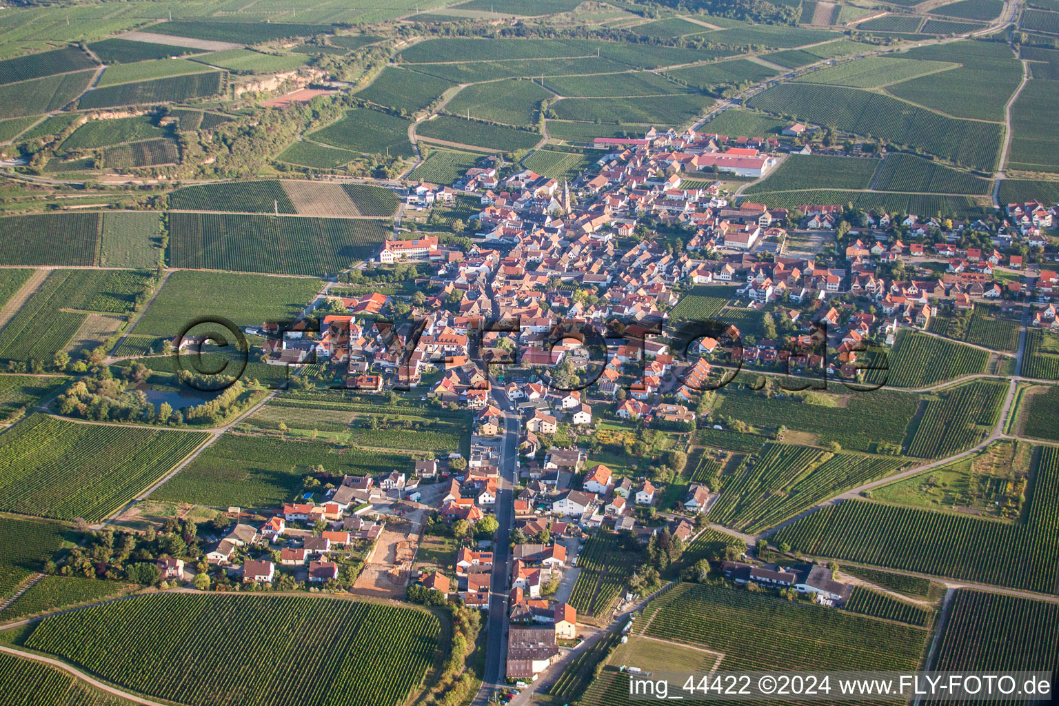 Dorf - Ansicht am Rande von landwirtschaftlichen Feldern und Nutzflächen in Kallstadt im Bundesland Rheinland-Pfalz, Deutschland