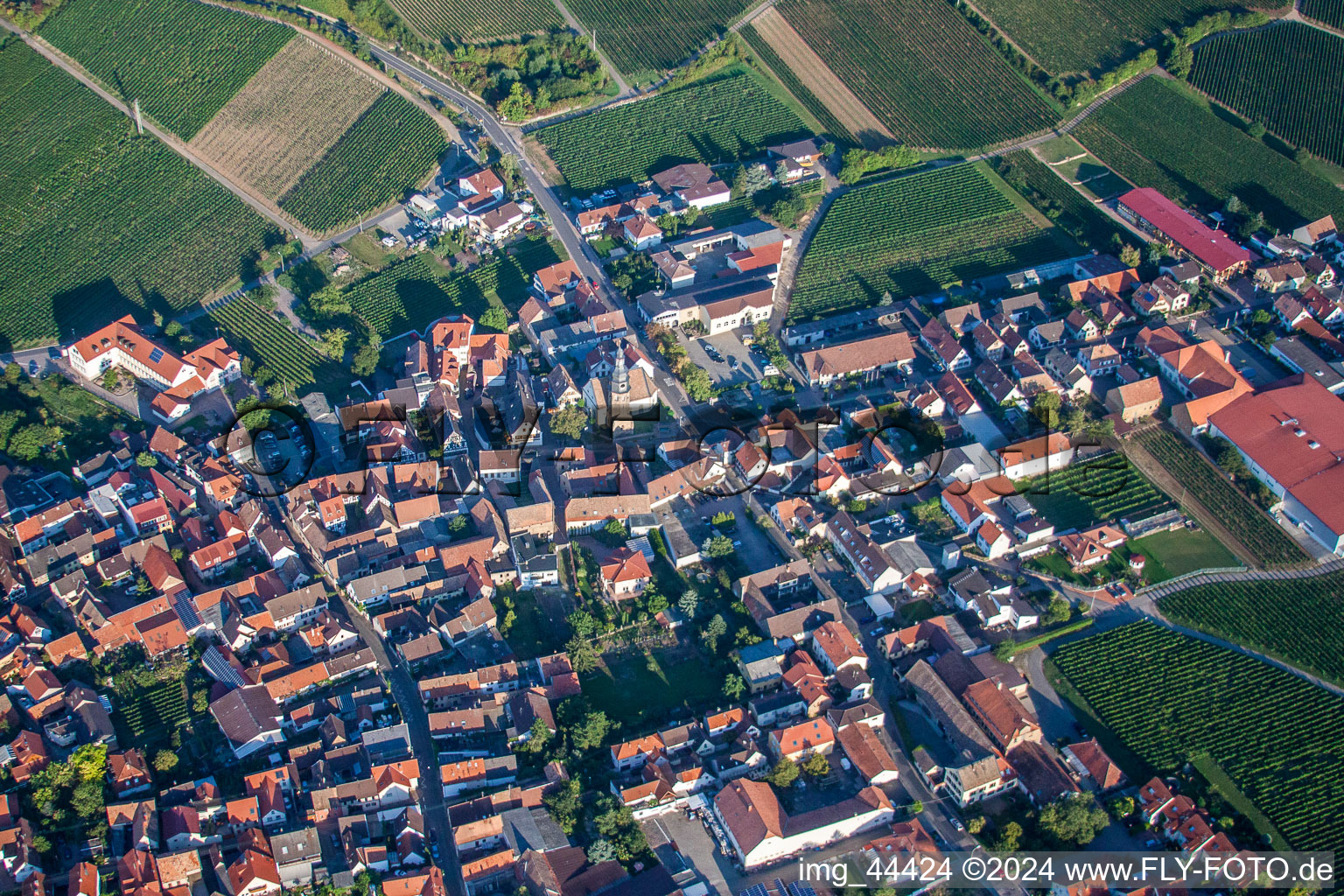 Luftbild von Dorf - Ansicht am Rande von landwirtschaftlichen Feldern und Nutzflächen in Kallstadt im Bundesland Rheinland-Pfalz, Deutschland
