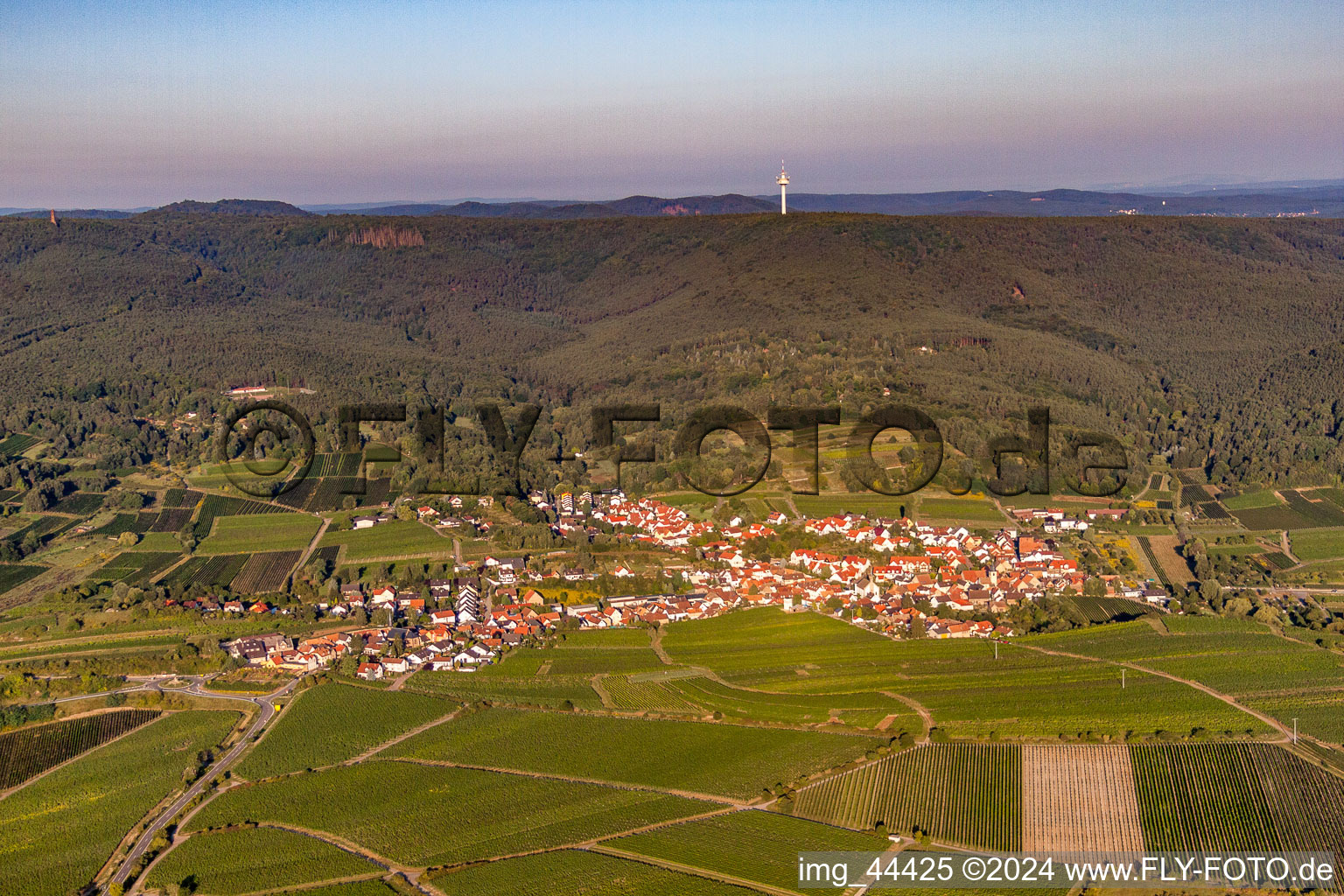 Dorf - Ansicht am Rande von landwirtschaftlichen Feldern und Nutzflächen im Ortsteil Leistadt in Bad Dürkheim im Bundesland Rheinland-Pfalz, Deutschland