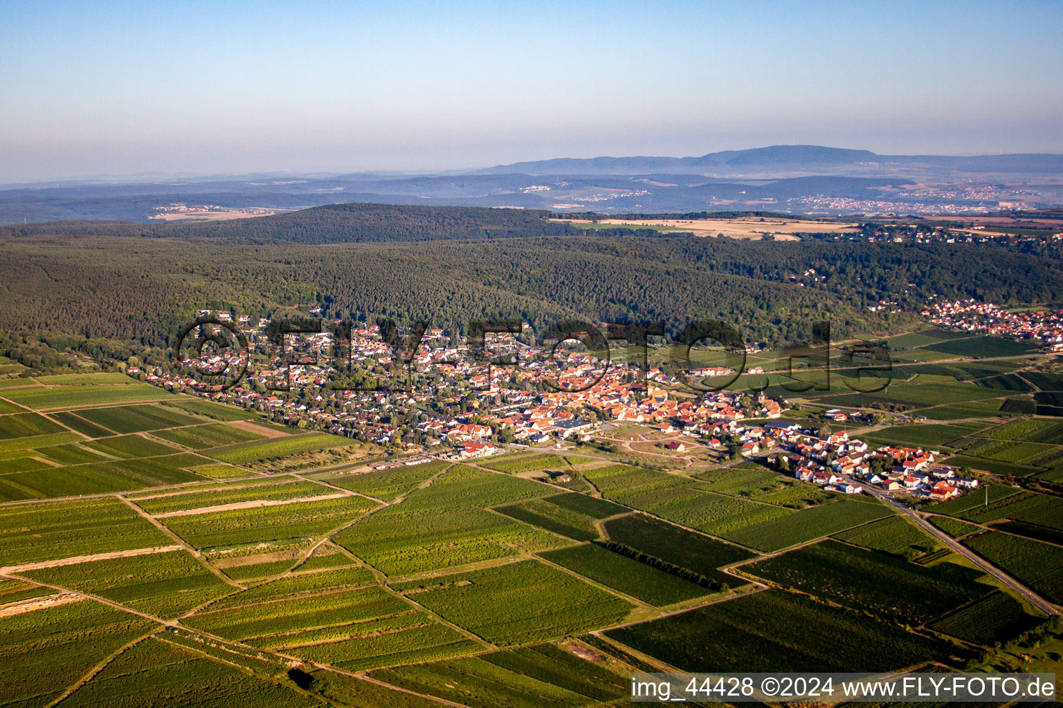 Luftbild von Dorf - Ansicht am Rande von Weinbergen am Haardtrand in Weisenheim am Berg im Bundesland Rheinland-Pfalz, Deutschland