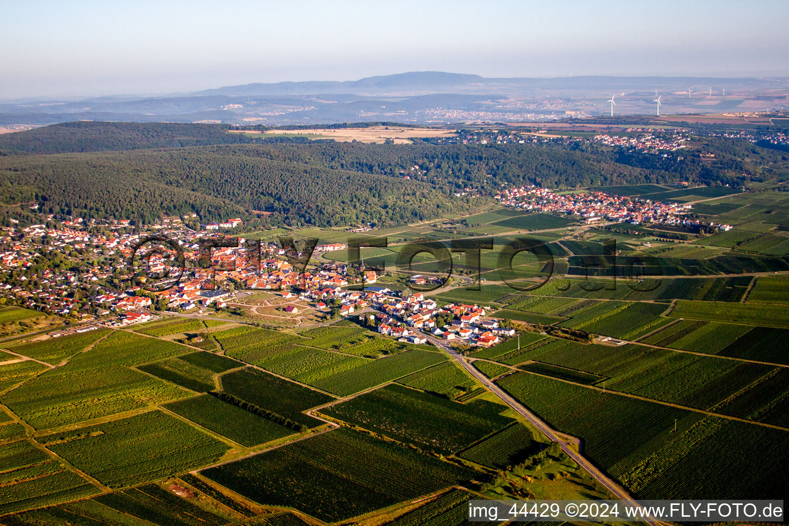 Luftaufnahme von Dorf - Ansicht am Rande von Weinbergen am Haardtrand in Weisenheim am Berg im Bundesland Rheinland-Pfalz, Deutschland