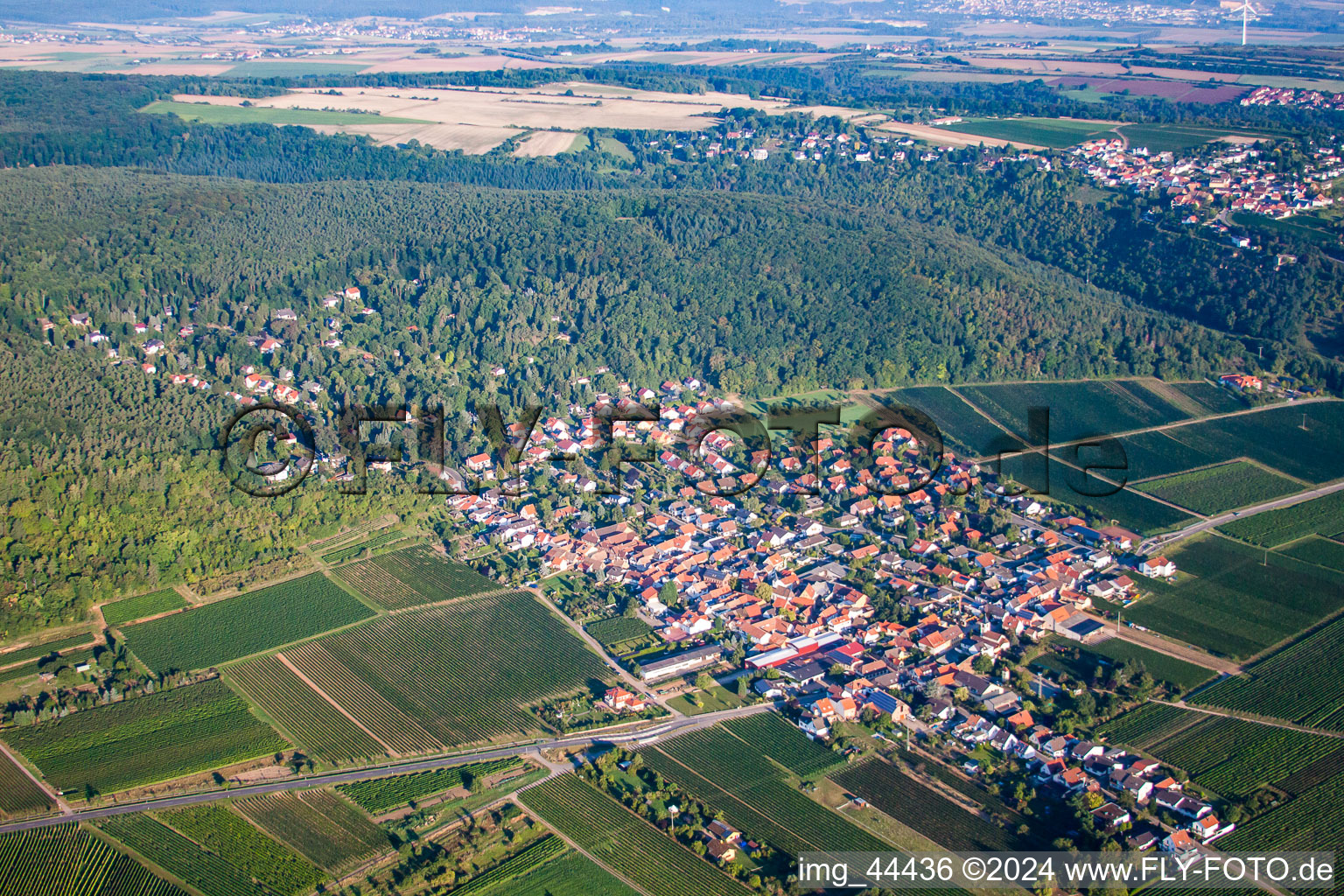 Luftaufnahme von Dorf - Ansicht von Am Münchberg in Bobenheim am Berg im Bundesland Rheinland-Pfalz, Deutschland