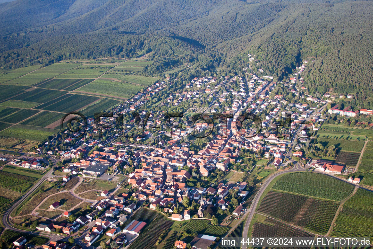 Schrägluftbild von Dorf - Ansicht von Am Münchberg in Bobenheim am Berg im Bundesland Rheinland-Pfalz, Deutschland