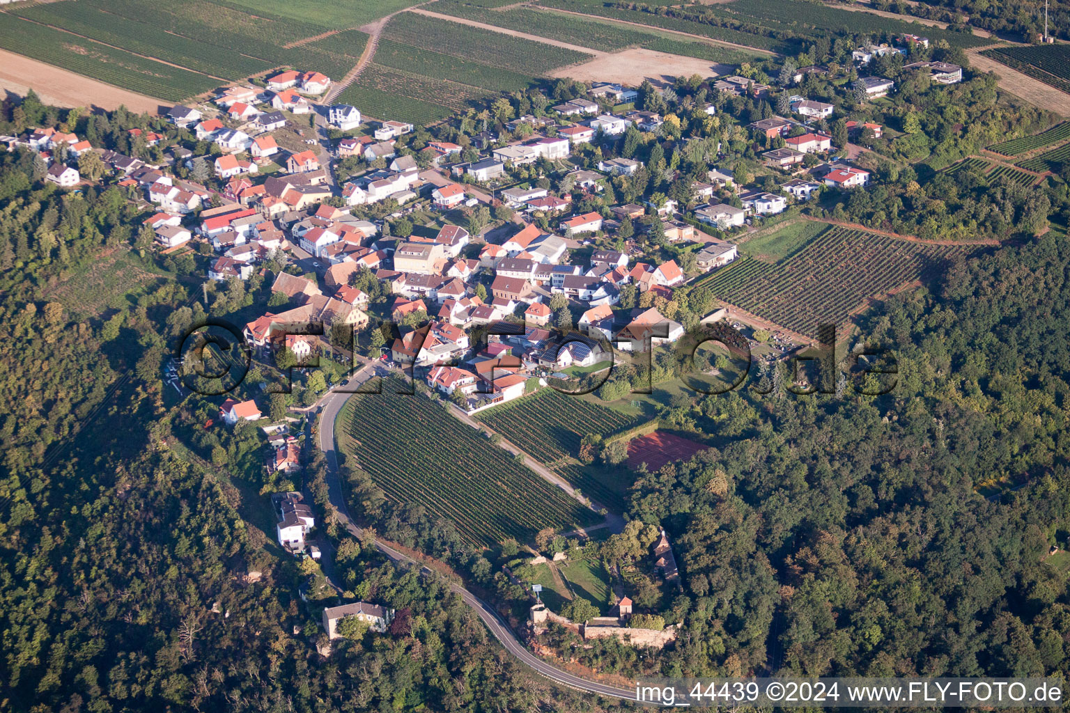 Dorf - Ansicht von Am Münchberg in Bobenheim am Berg im Bundesland Rheinland-Pfalz, Deutschland von oben