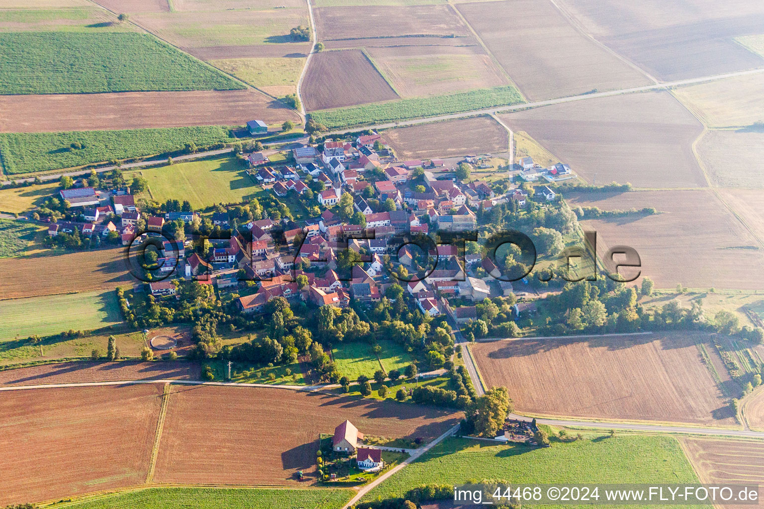 Dorf - Ansicht am Rande von landwirtschaftlichen Feldern und Nutzflächen in Rittersheim im Bundesland Rheinland-Pfalz, Deutschland