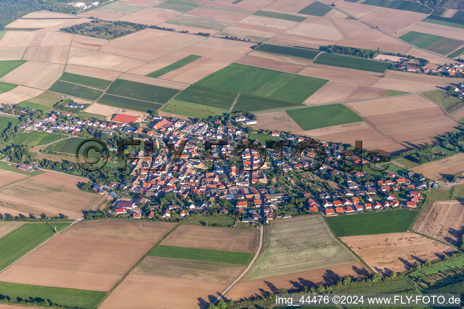 Dorf - Ansicht am Rande von landwirtschaftlichen Feldern und Nutzflächen in Stein-Bockenheim im Bundesland Rheinland-Pfalz, Deutschland
