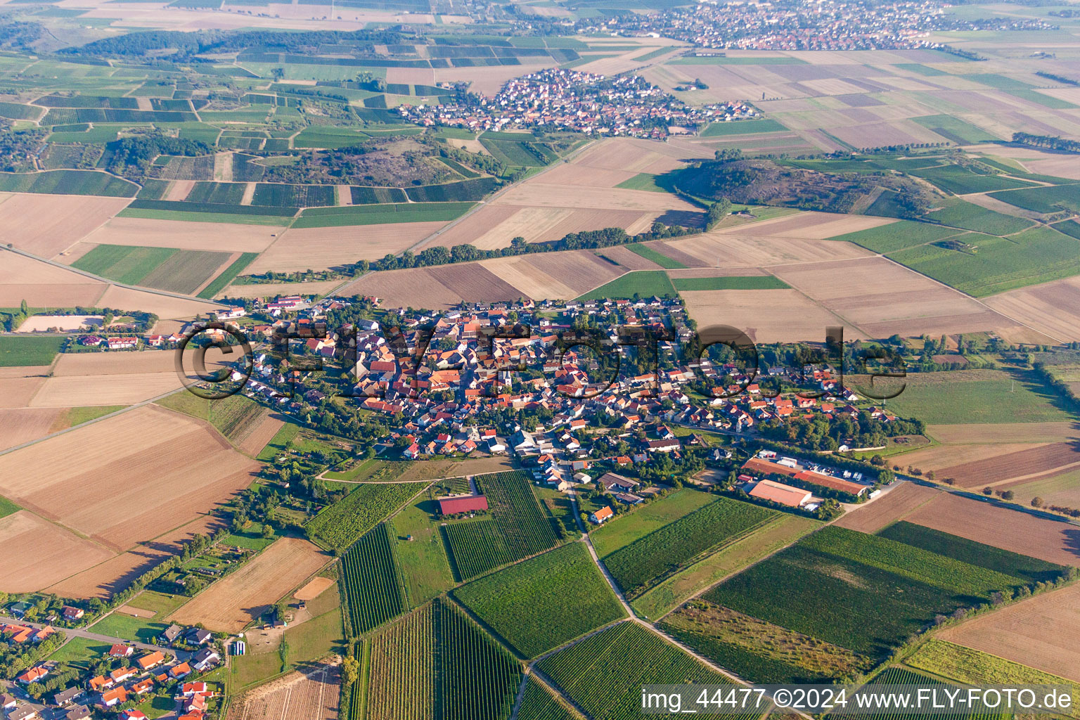 Dorf - Ansicht am Rande von landwirtschaftlichen Feldern und Nutzflächen in Wonsheim im Bundesland Rheinland-Pfalz, Deutschland