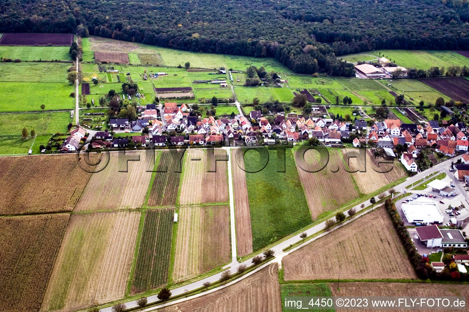 Freckenfeld, Gänsried im Bundesland Rheinland-Pfalz, Deutschland aus der Luft