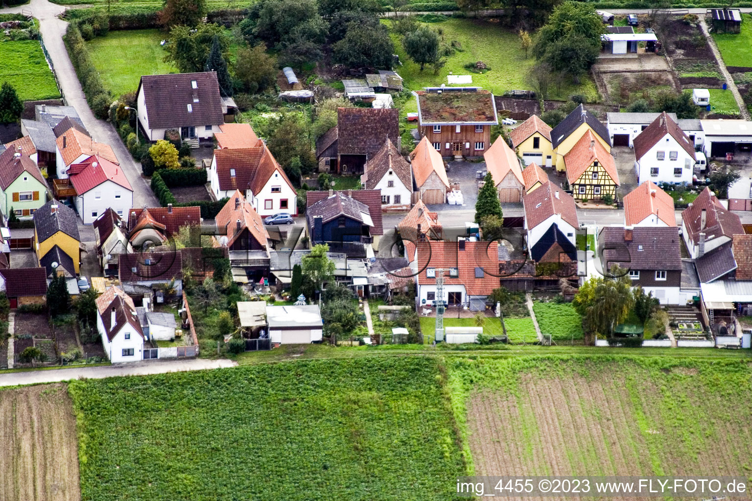Freckenfeld, Gänsried im Bundesland Rheinland-Pfalz, Deutschland aus der Luft betrachtet