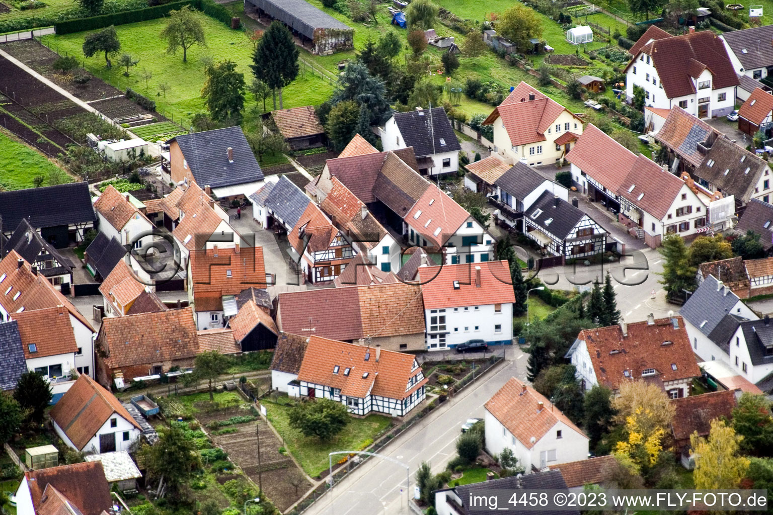 Freckenfeld, Gänsried im Bundesland Rheinland-Pfalz, Deutschland aus der Drohnenperspektive