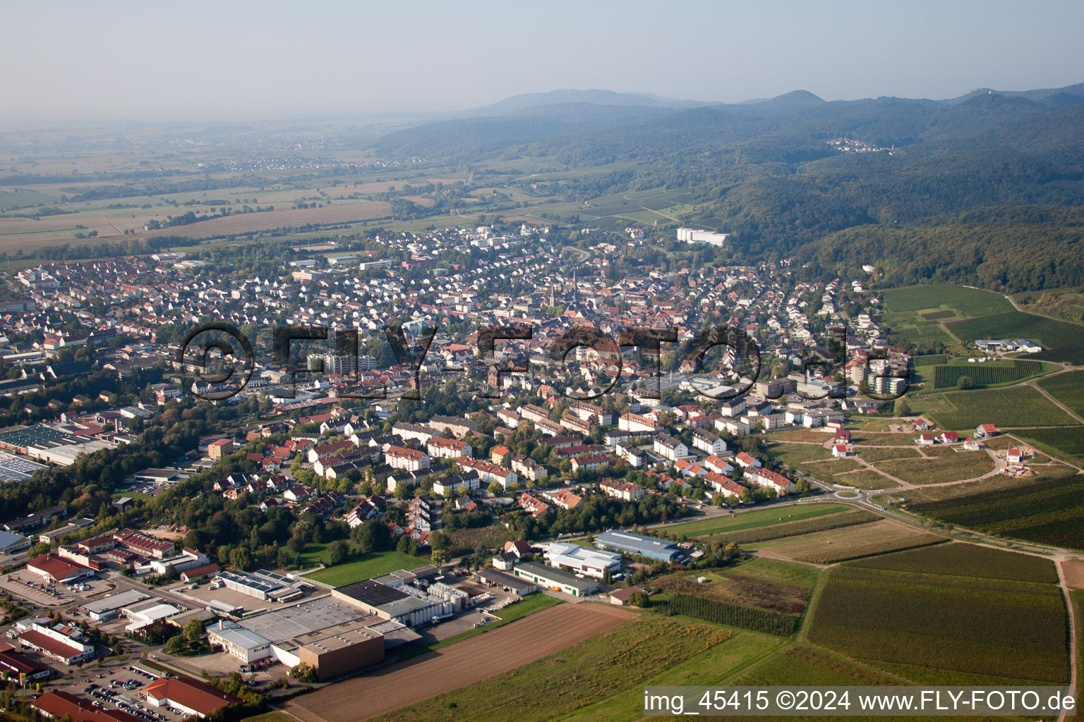 Bad Bergzabern im Bundesland Rheinland-Pfalz, Deutschland aus der Luft betrachtet