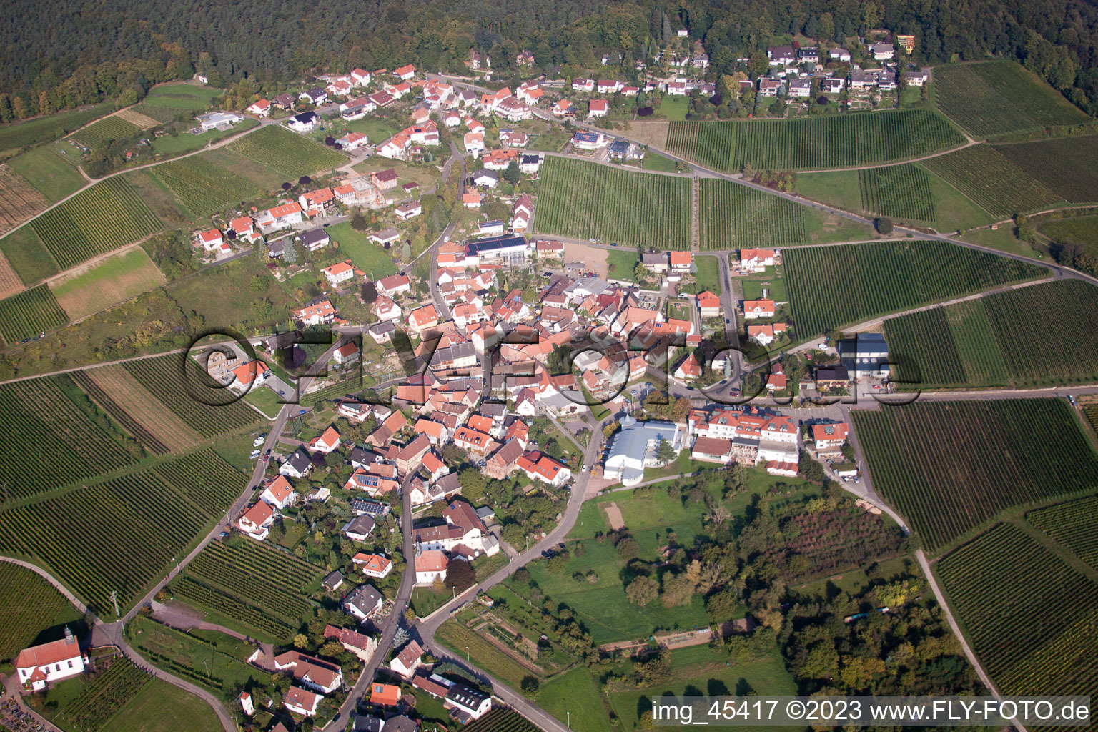 Ortsteil Gleiszellen in Gleiszellen-Gleishorbach im Bundesland Rheinland-Pfalz, Deutschland aus der Luft