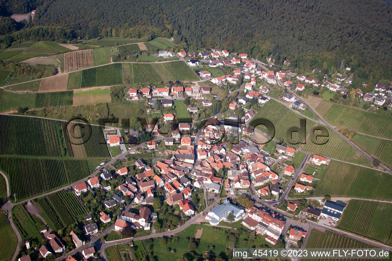 Ortsteil Gleiszellen in Gleiszellen-Gleishorbach im Bundesland Rheinland-Pfalz, Deutschland von oben gesehen