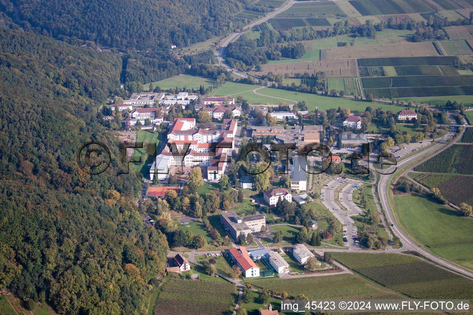 Luftaufnahme von Psyschatrische Landesklinik in Klingenmünster im Bundesland Rheinland-Pfalz, Deutschland