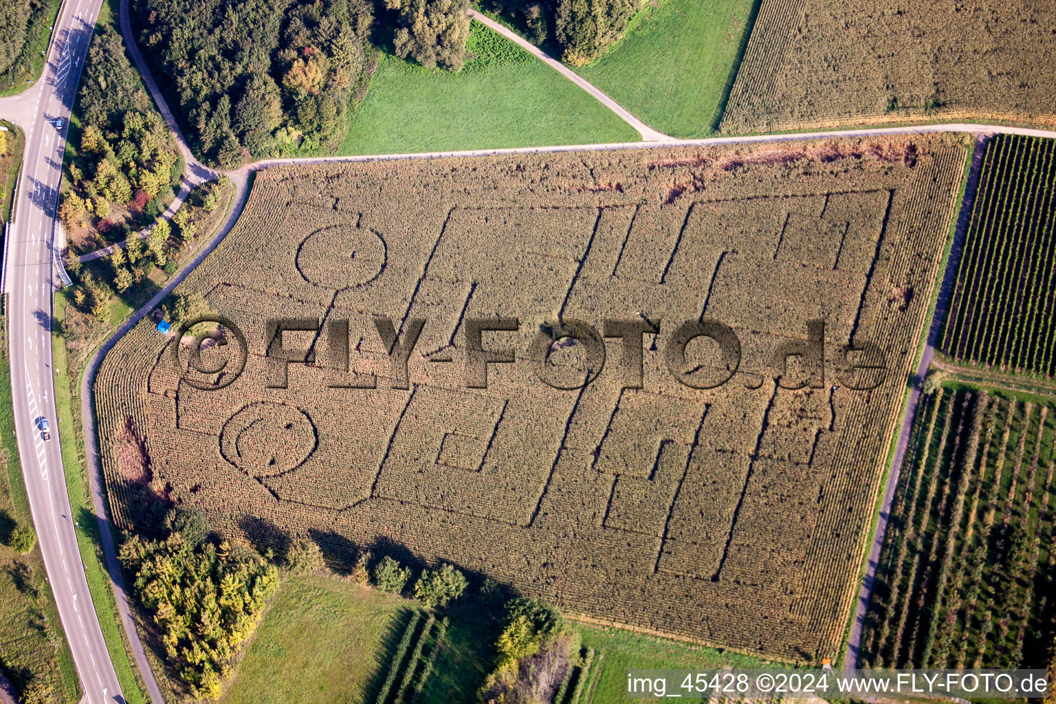 Irrgarten - Labyrinth mit den Umrissen von Smileys auf einem Feld in Göcklingen im Bundesland Rheinland-Pfalz, Deutschland