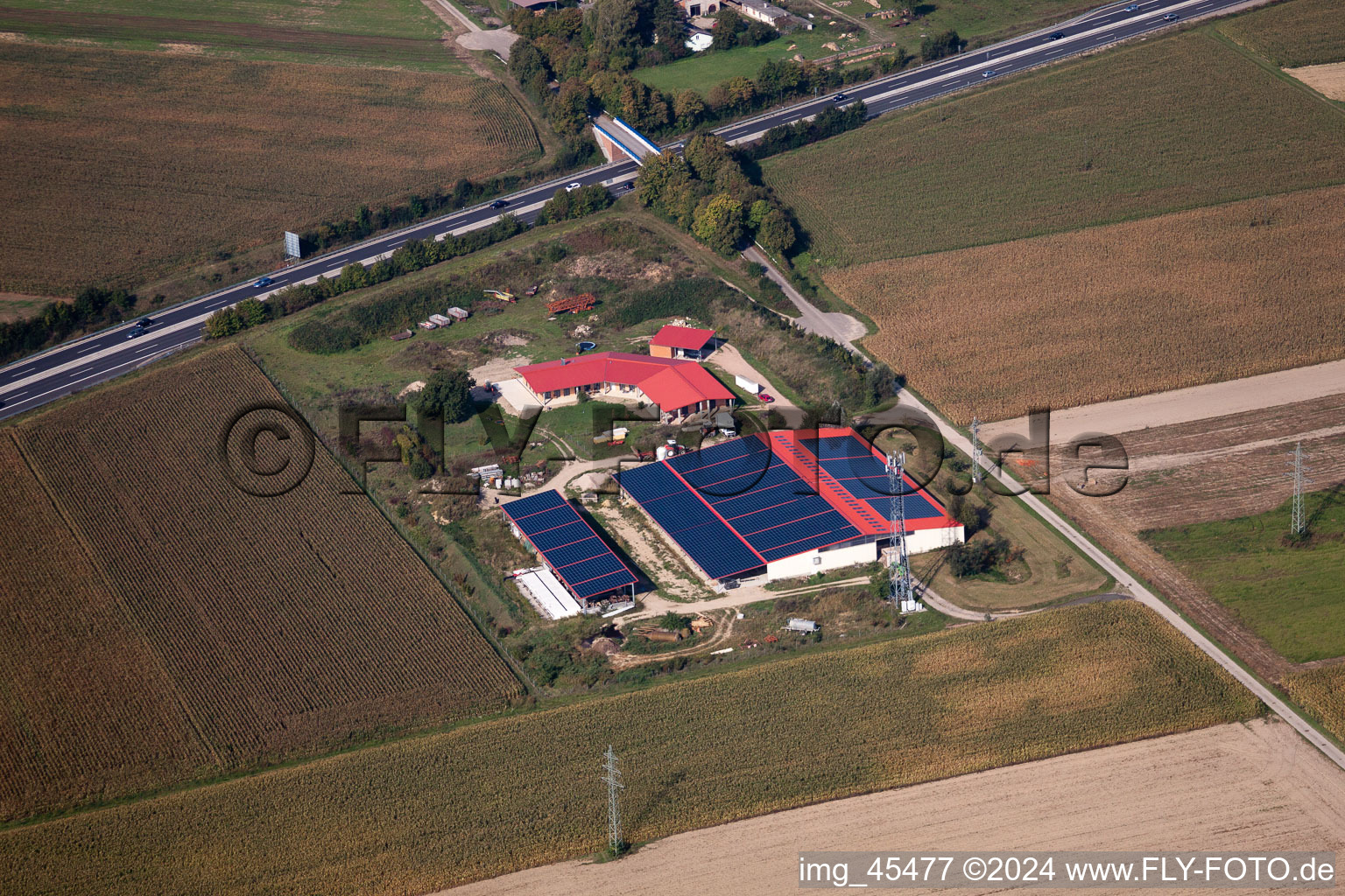 Eierfarm in Erlenbach bei Kandel im Bundesland Rheinland-Pfalz, Deutschland von oben