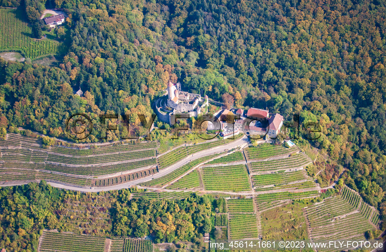 Luftbild von Burg Hornberg bei Neckarzimmern im Bundesland Baden-Württemberg, Deutschland