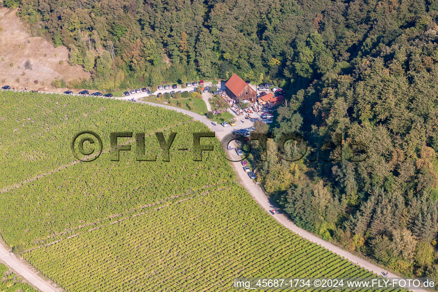 Weinparadiesscheune im Ortsteil Bullenheim in Ippesheim im Bundesland Bayern, Deutschland