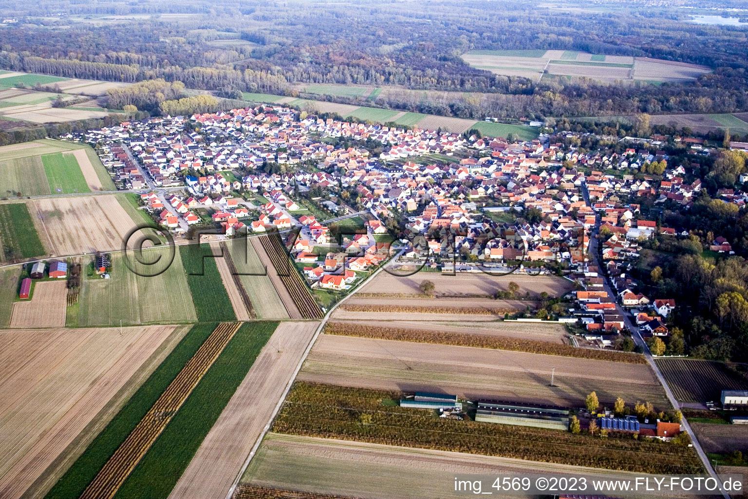 Schrägluftbild von Hördt von Westen im Bundesland Rheinland-Pfalz, Deutschland