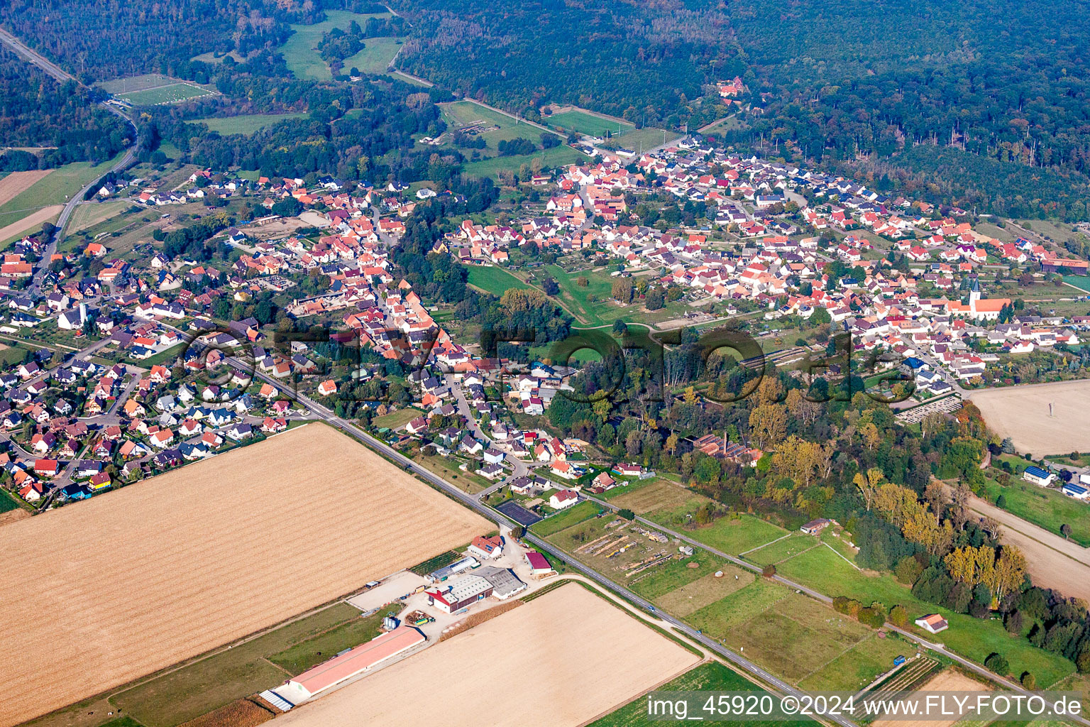 Dorf - Ansicht am Rande von landwirtschaftlichen Feldern und Nutzflächen in Scheibenhard in Grand Est im Bundesland Bas-Rhin, Frankreich