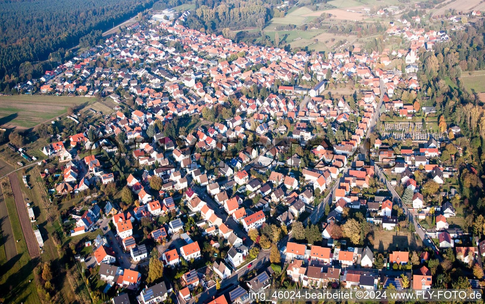 Dorf - Ansicht in Berg (Pfalz) im Bundesland Rheinland-Pfalz, Deutschland aus der Vogelperspektive