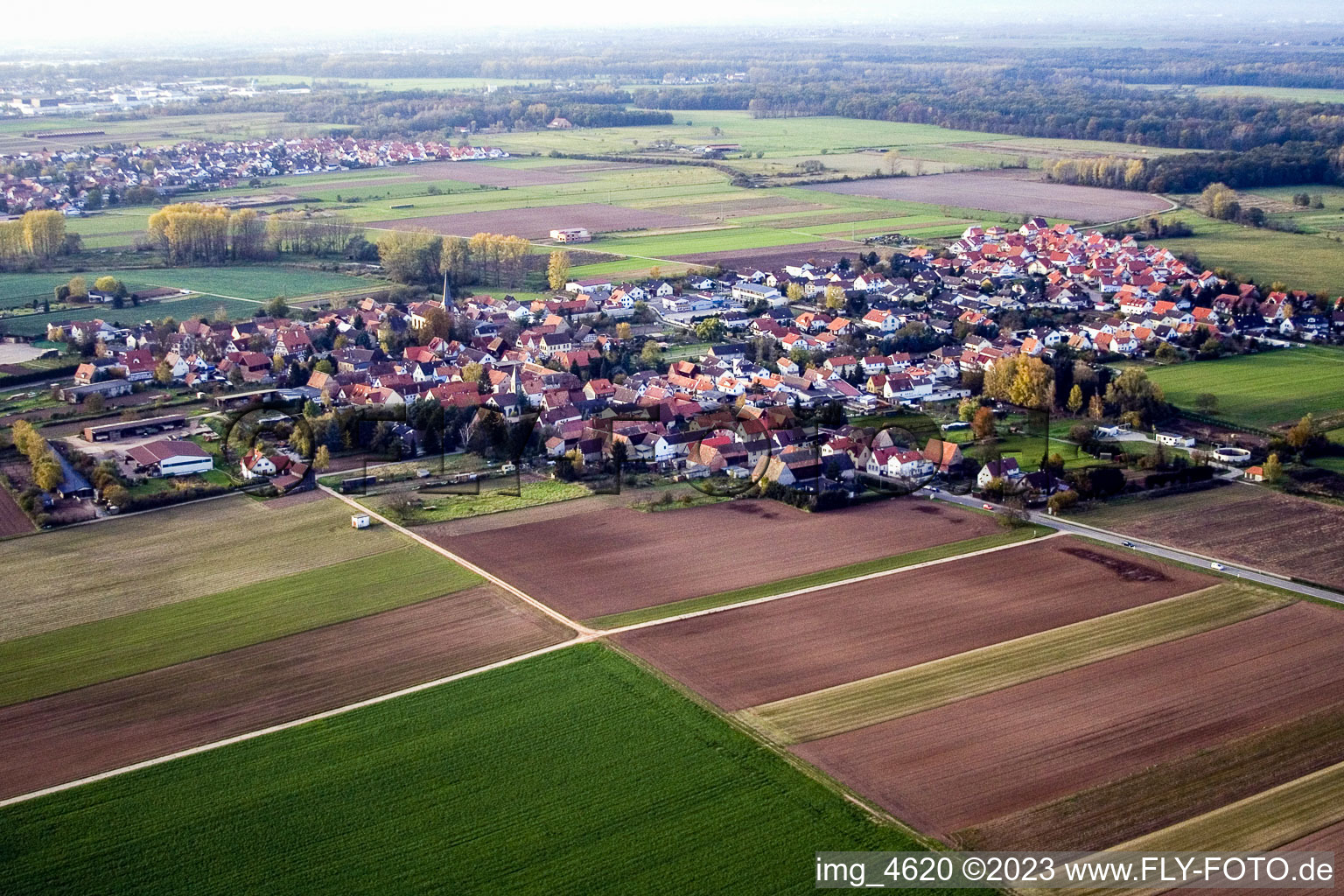 Knittelsheim im Bundesland Rheinland-Pfalz, Deutschland aus der Drohnenperspektive