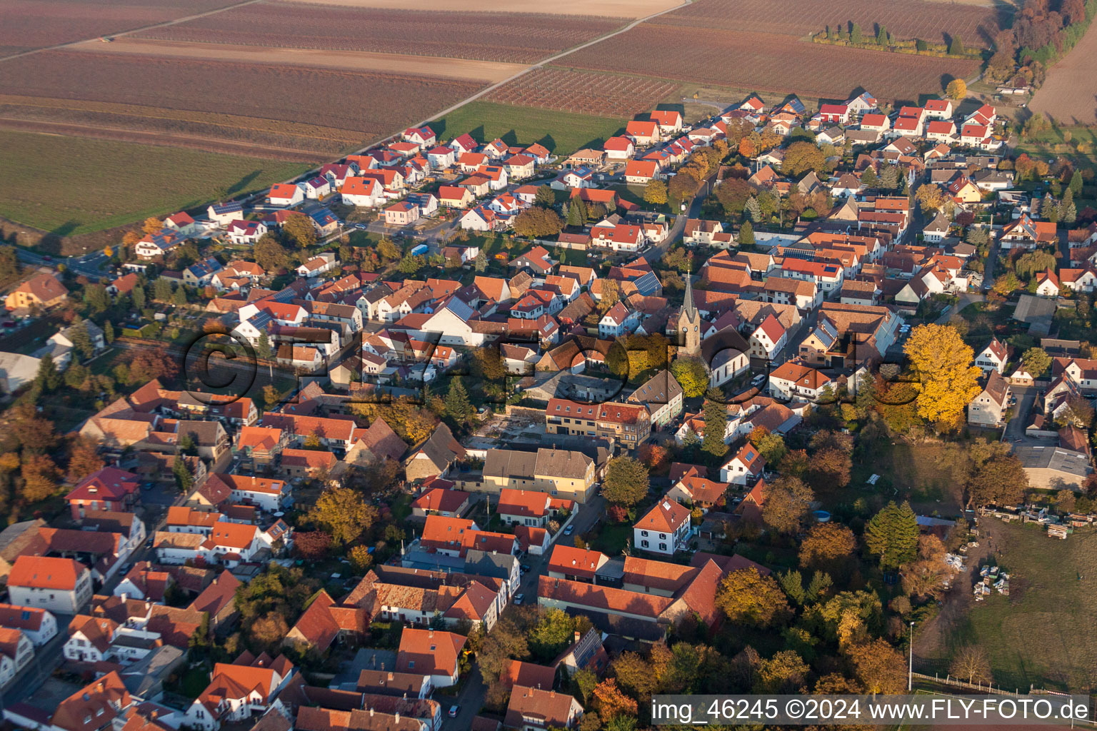 Luftaufnahme von Dorf - Ansicht am Rande von landwirtschaftlichen Feldern und Nutzflächen in Essingen im Bundesland Rheinland-Pfalz, Deutschland