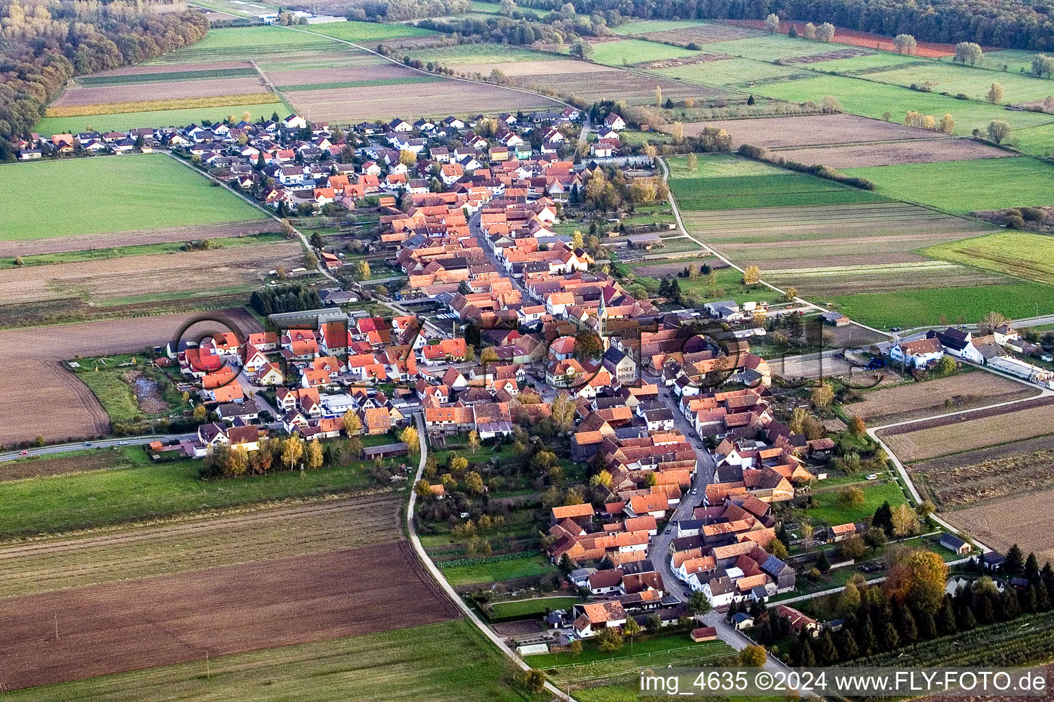 Dorf - Ansicht am Rande von landwirtschaftlichen Feldern und Nutzflächen im Ortsteil Gewerbegebiet Horst in Erlenbach bei Kandel im Bundesland Rheinland-Pfalz, Deutschland von oben