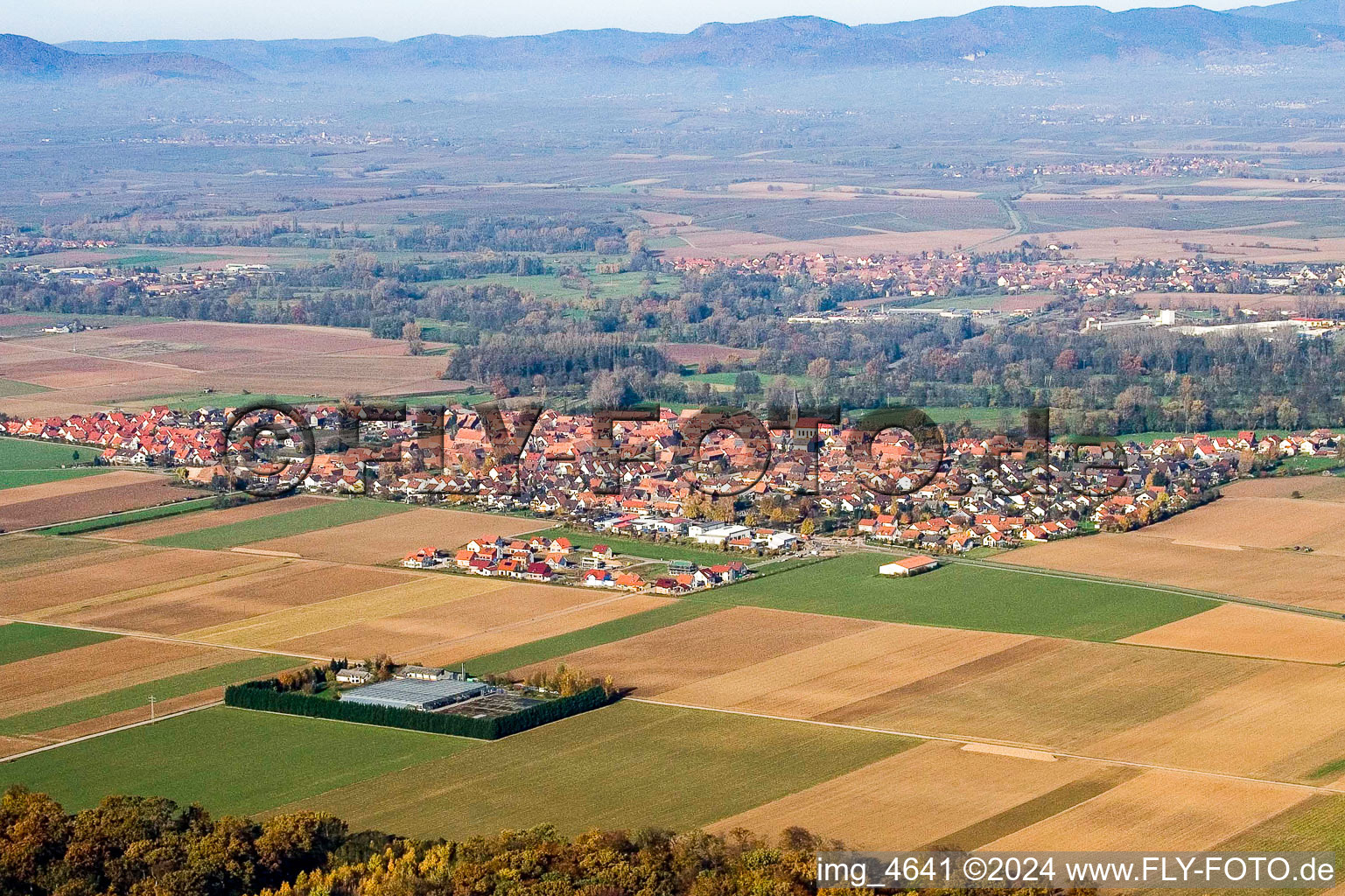 Dorf - Ansicht am Rande von landwirtschaftlichen Feldern und Nutzflächen in Steinweiler im Bundesland Rheinland-Pfalz, Deutschland