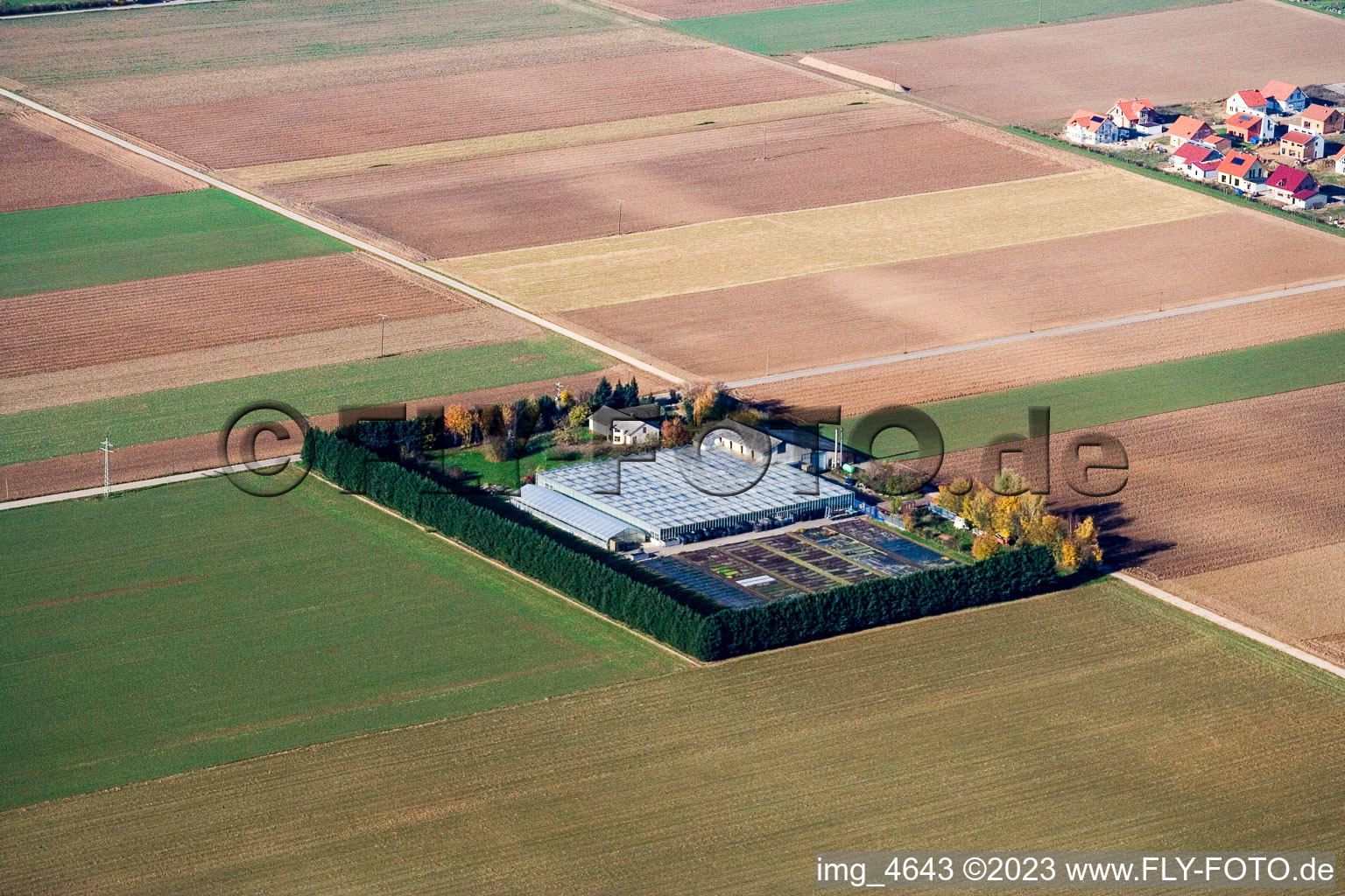 Luftbild von Sudetenhof in Steinweiler im Bundesland Rheinland-Pfalz, Deutschland