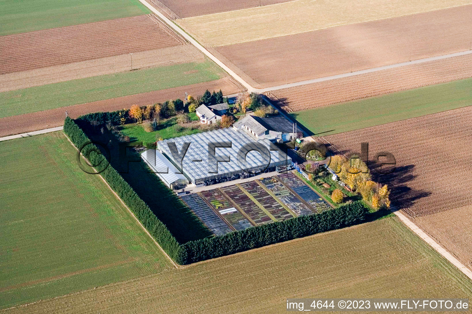 Luftaufnahme von Sudetenhof in Steinweiler im Bundesland Rheinland-Pfalz, Deutschland