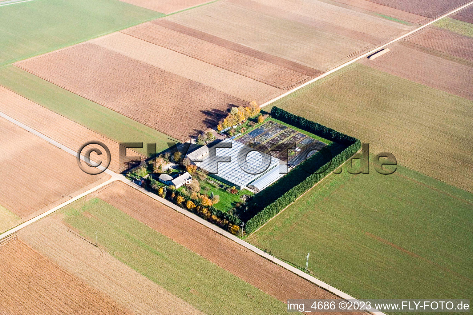 Drohnenbild von Steinweiler, Sudetenhof im Bundesland Rheinland-Pfalz, Deutschland