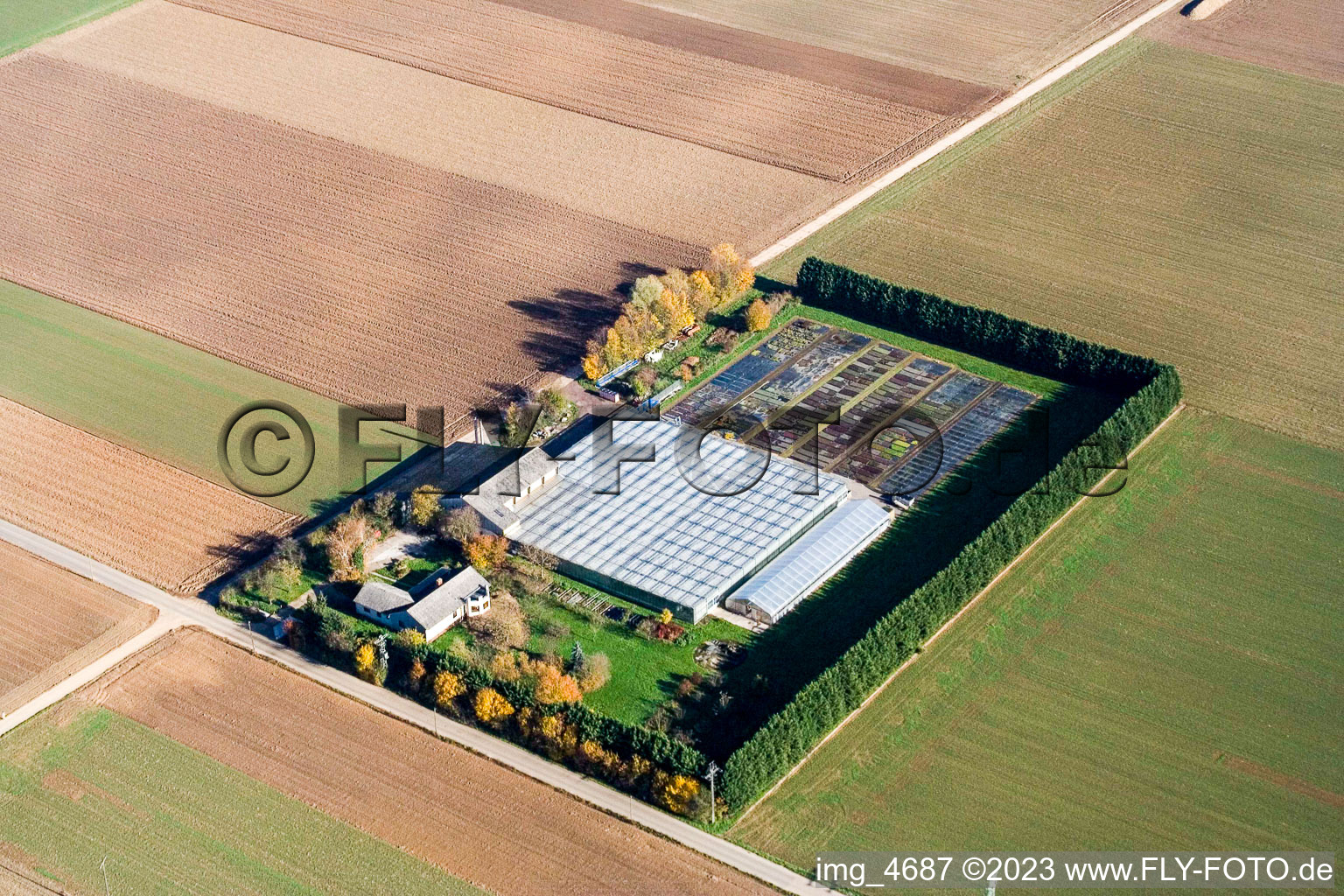 Steinweiler, Sudetenhof im Bundesland Rheinland-Pfalz, Deutschland aus der Drohnenperspektive