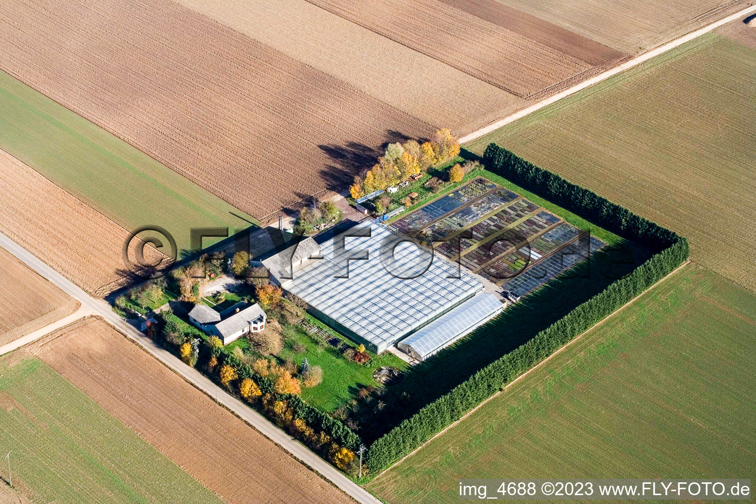 Steinweiler, Sudetenhof im Bundesland Rheinland-Pfalz, Deutschland von einer Drohne aus