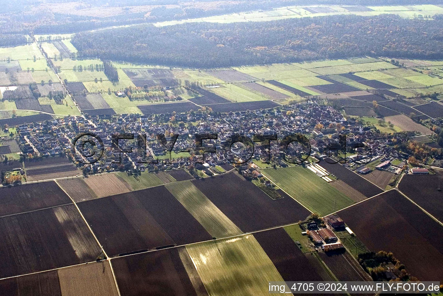 Dorf - Ansicht am Rande von landwirtschaftlichen Feldern und Nutzflächen in Minfeld im Bundesland Rheinland-Pfalz, Deutschland von oben